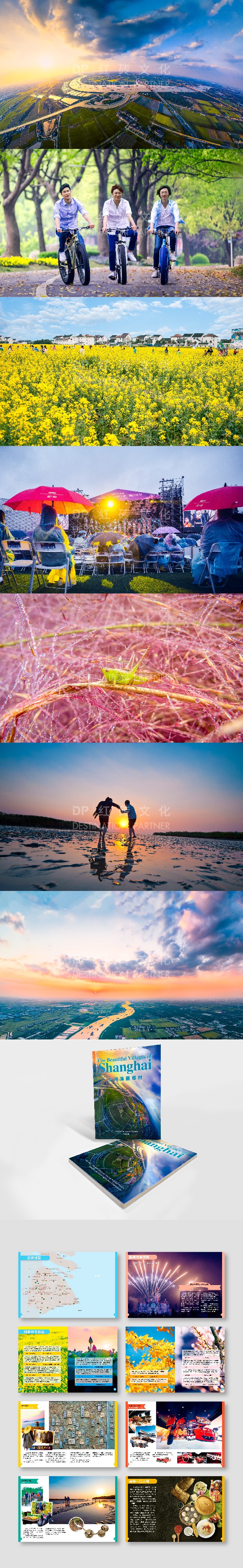 《上海美丽乡村》